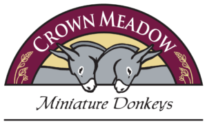 Miniature-Donkeys-Logo